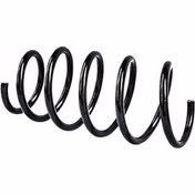 فنر لول پژو 206 عظام